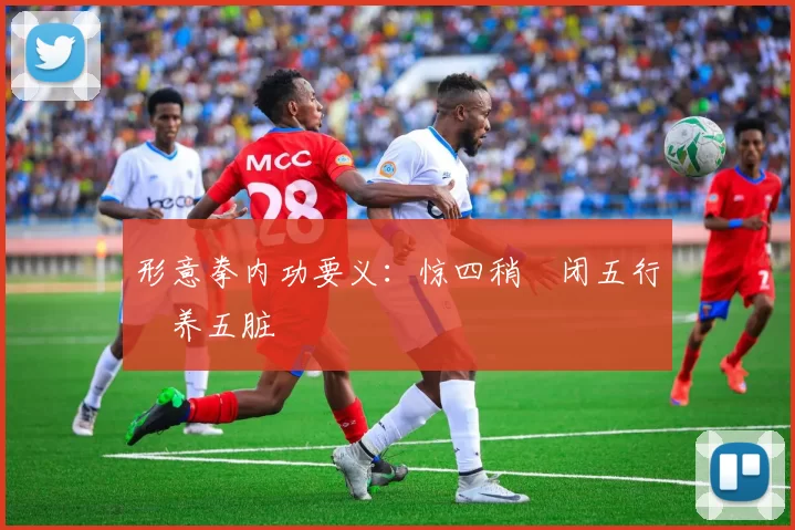 形意拳内功要义：惊四稍・闭五行・养五脏