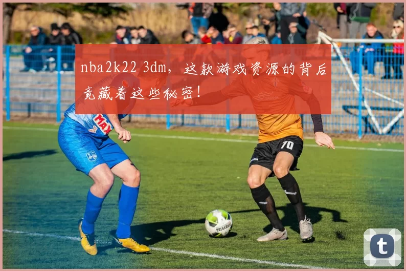 nba2k22 3dm，这款游戏资源的背后竟藏着这些秘密！