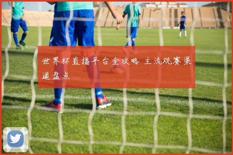 世界杯直播平台全攻略 主流观赛渠道盘点